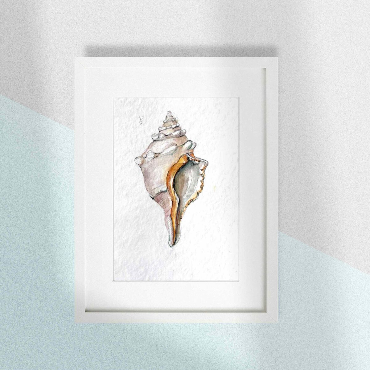 shell watercolor