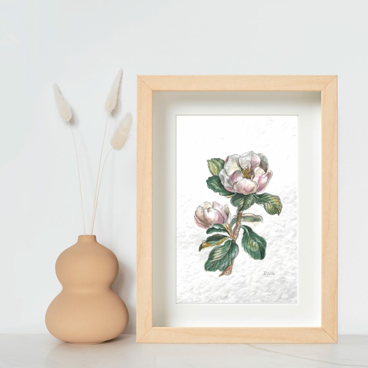 botanical drawing magnolia