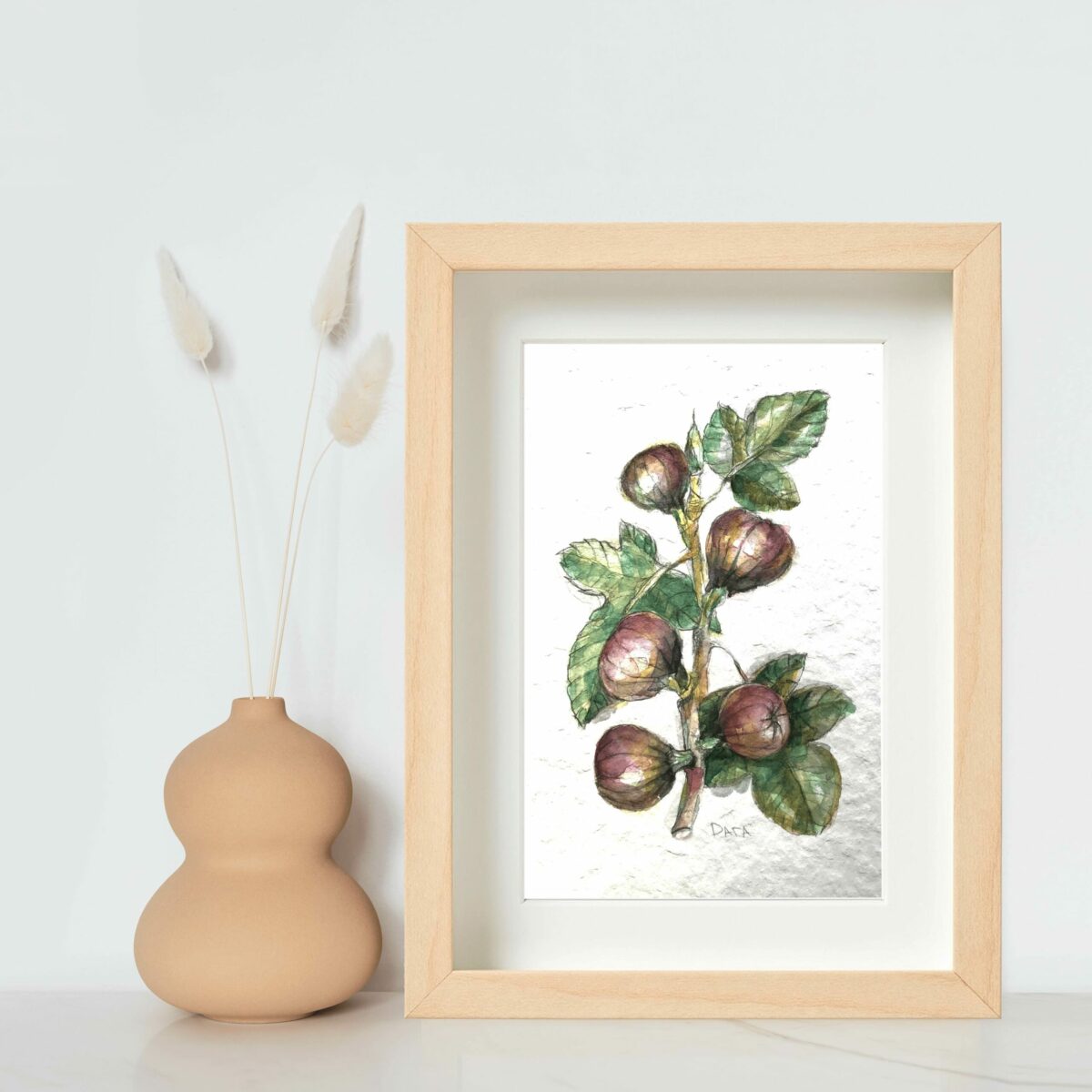 botanical drawing fig