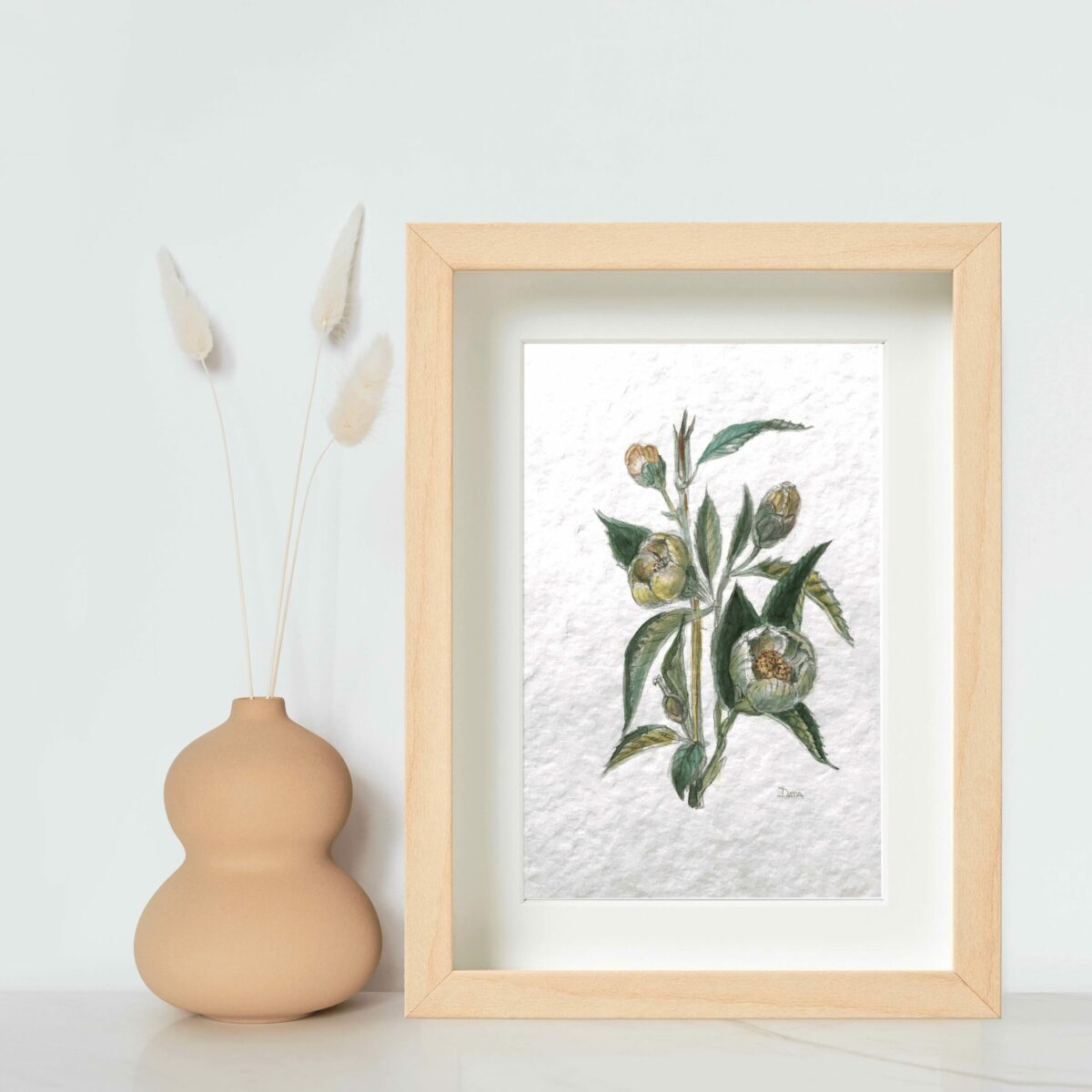 botanical drawing tree