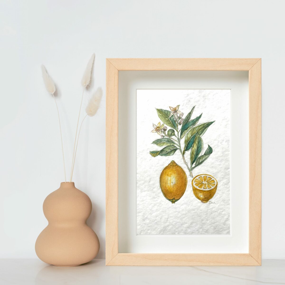 botanical drawing lemon